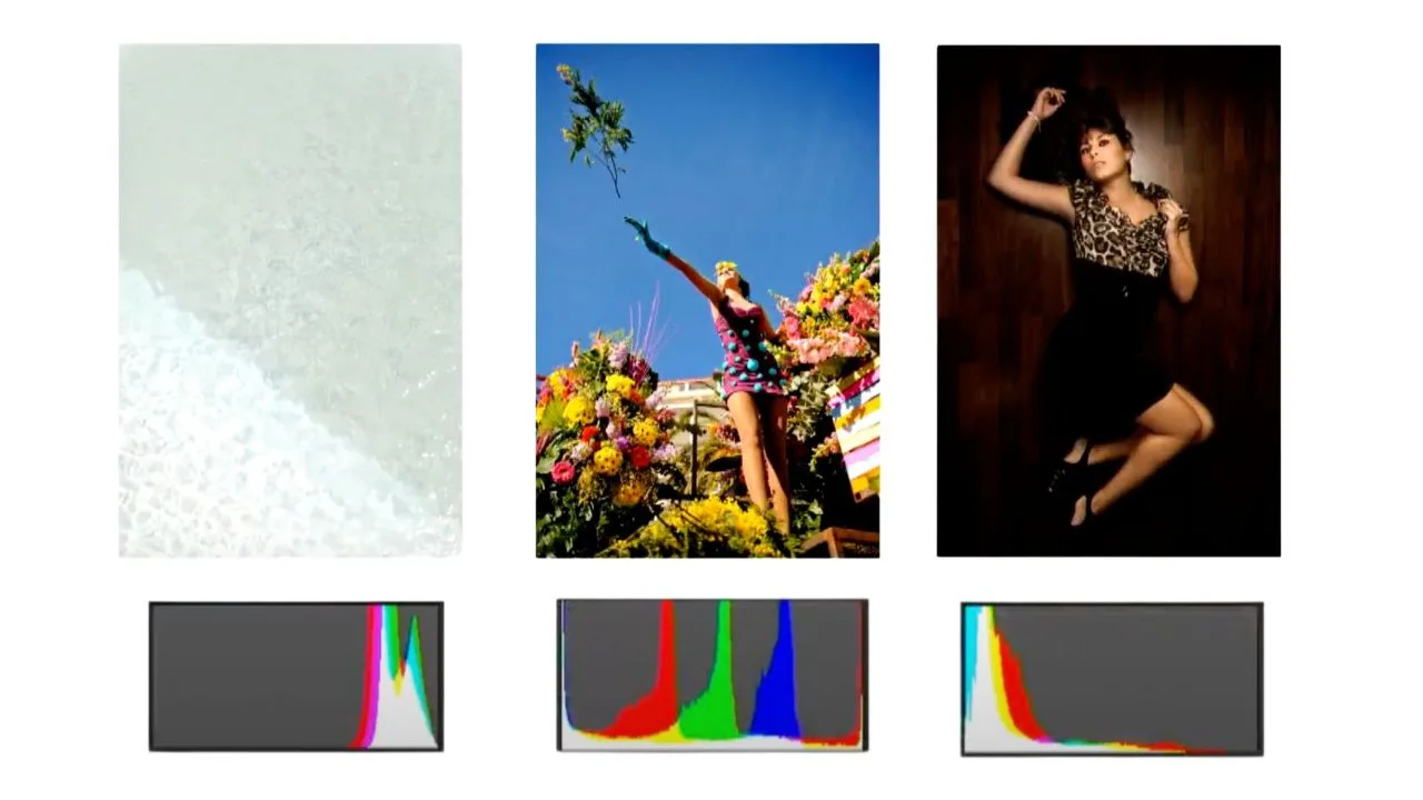 L’histogramme photo : Comprendre, analyser et utiliser cet outil essentiel en photographie