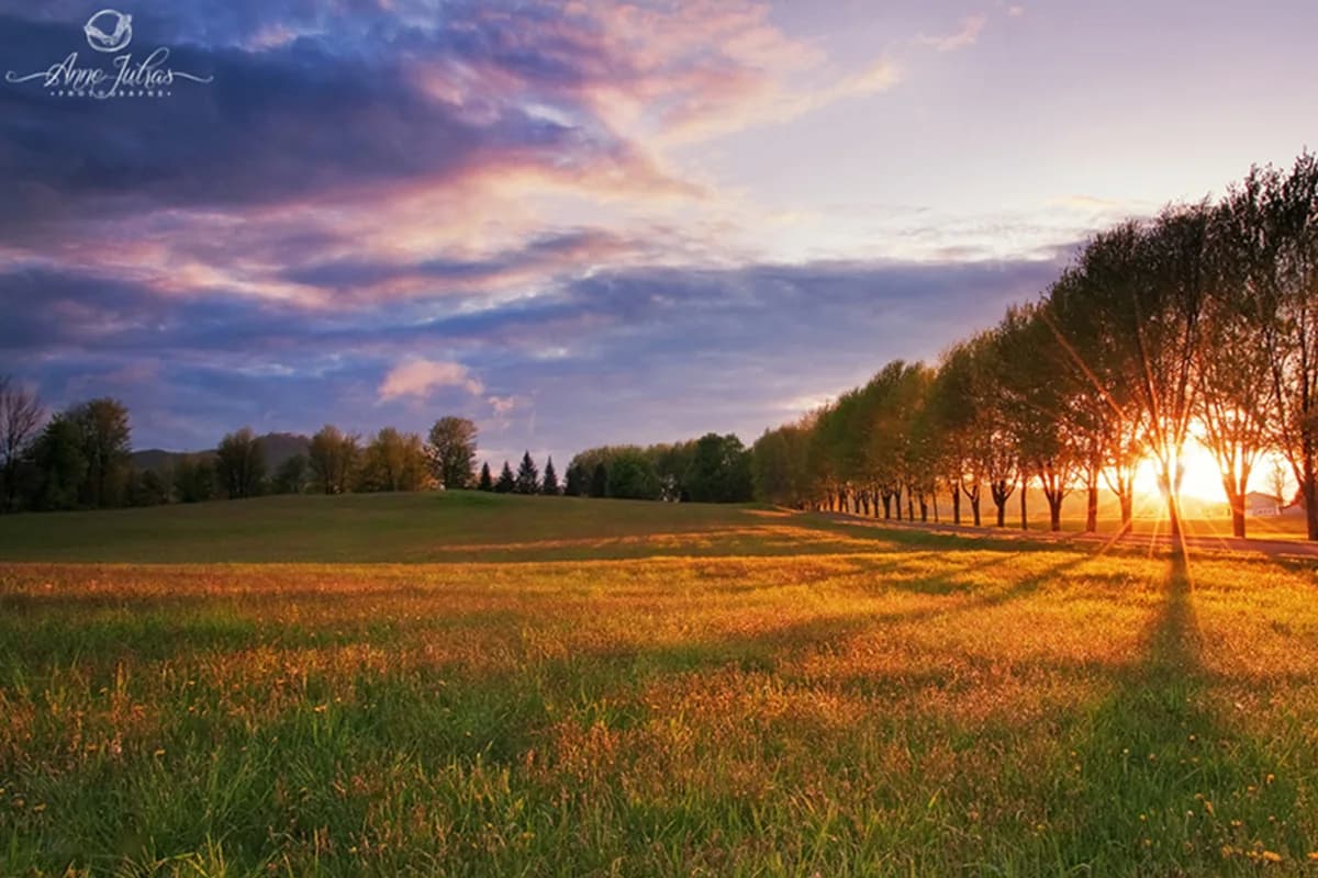 Photo de paysage : quel type de lumière favoriser ? – Partie 1