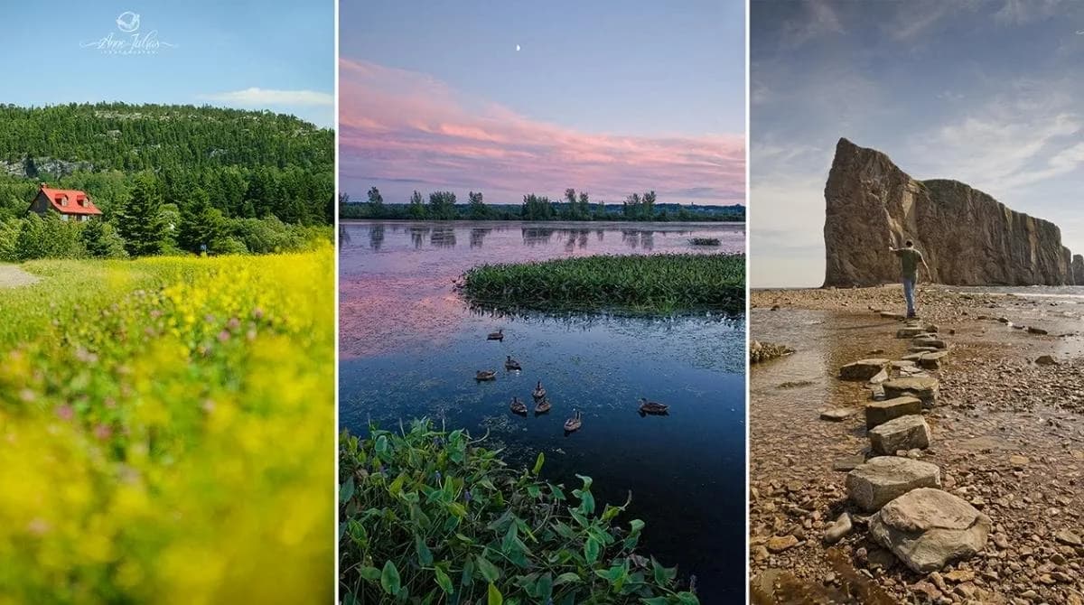 Comment utiliser un premier plan pour donner de la profondeur à vos photos