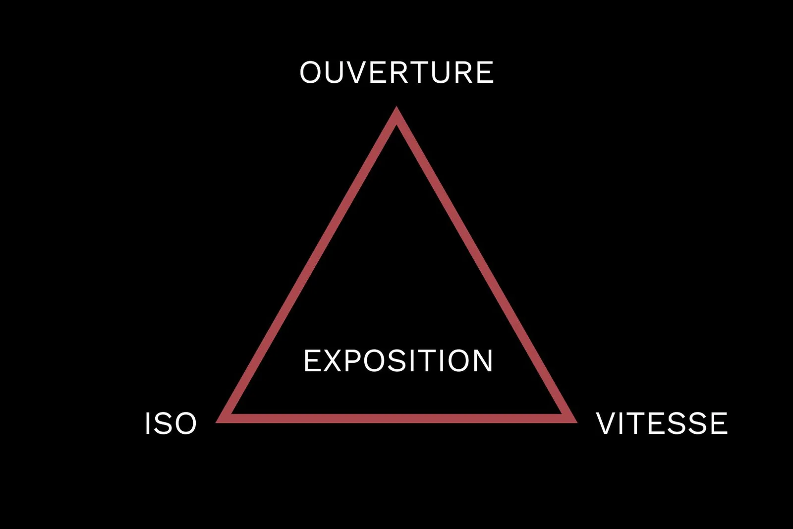 triangle exposition