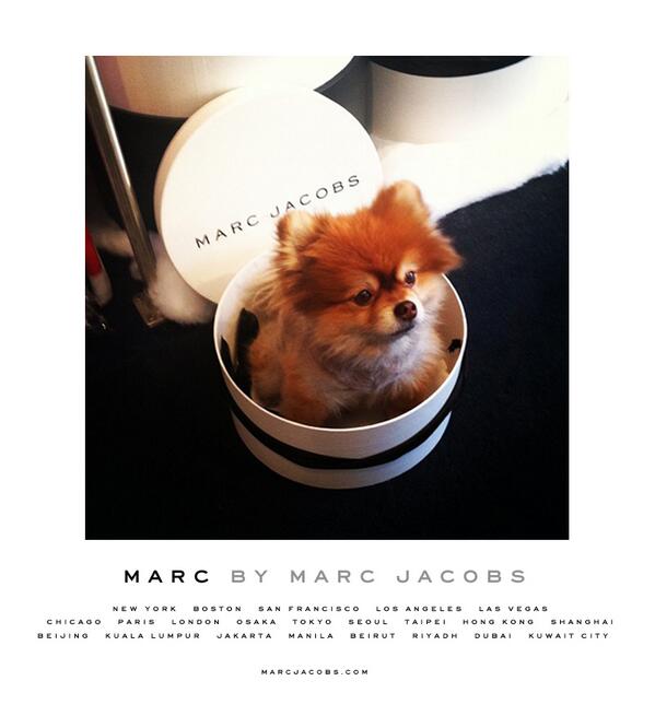 marc jacobs