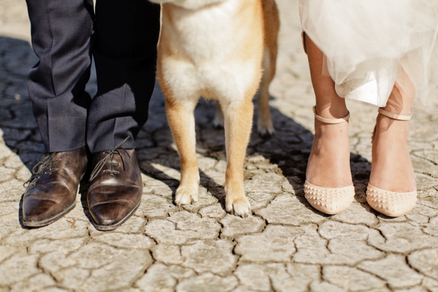 mariage-camargue-vm161