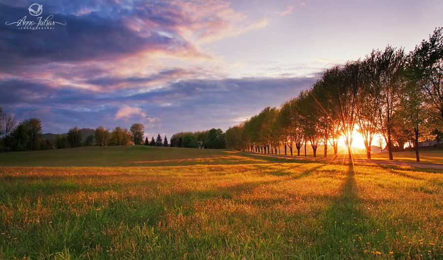 Photo de paysage : quel type de lumière favoriser | Lumière de côté