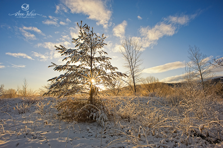 Photo de paysage : quel type de lumière favoriser |Contre-jour