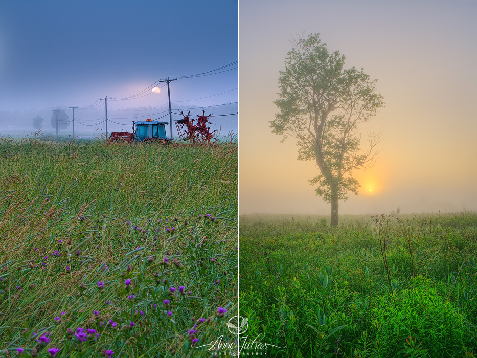 Photo de paysage : quel type de lumière favoriser | Brume