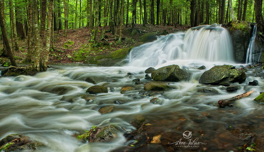 Photo de paysage : quel type de lumière favoriser | Diffuse