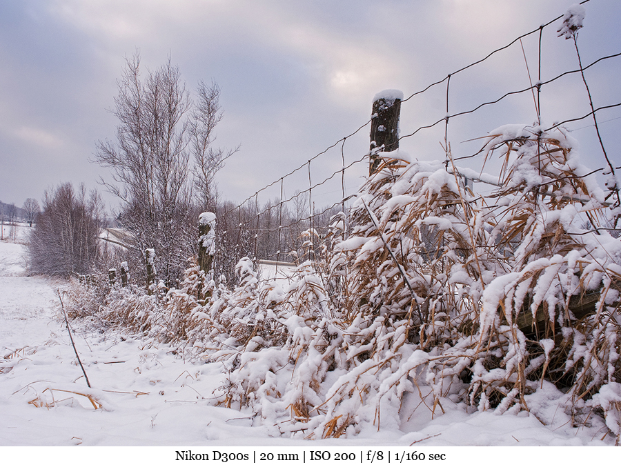 Photo de paysage | Perspective