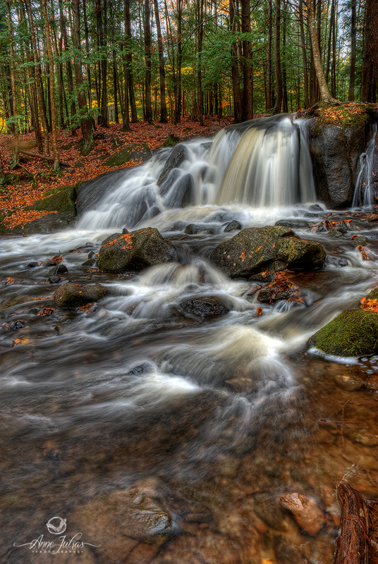 Photos de Cascade 