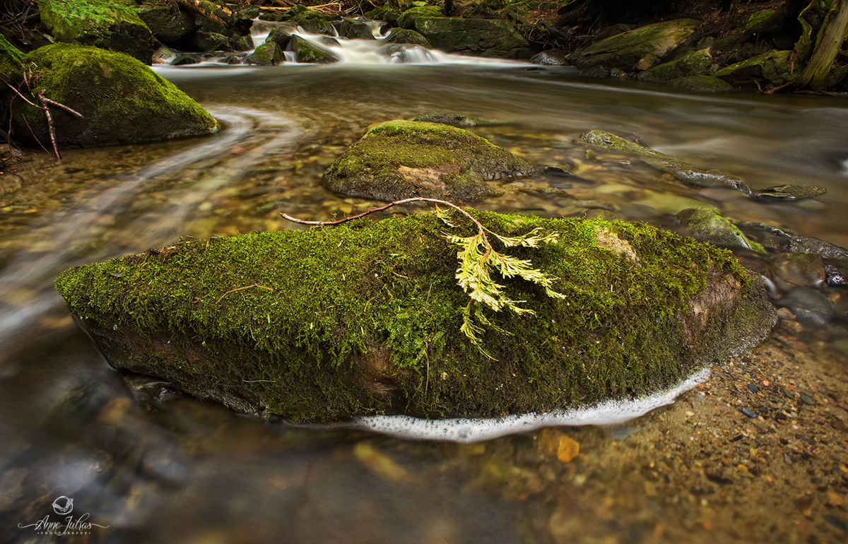 Photos de Cascade 