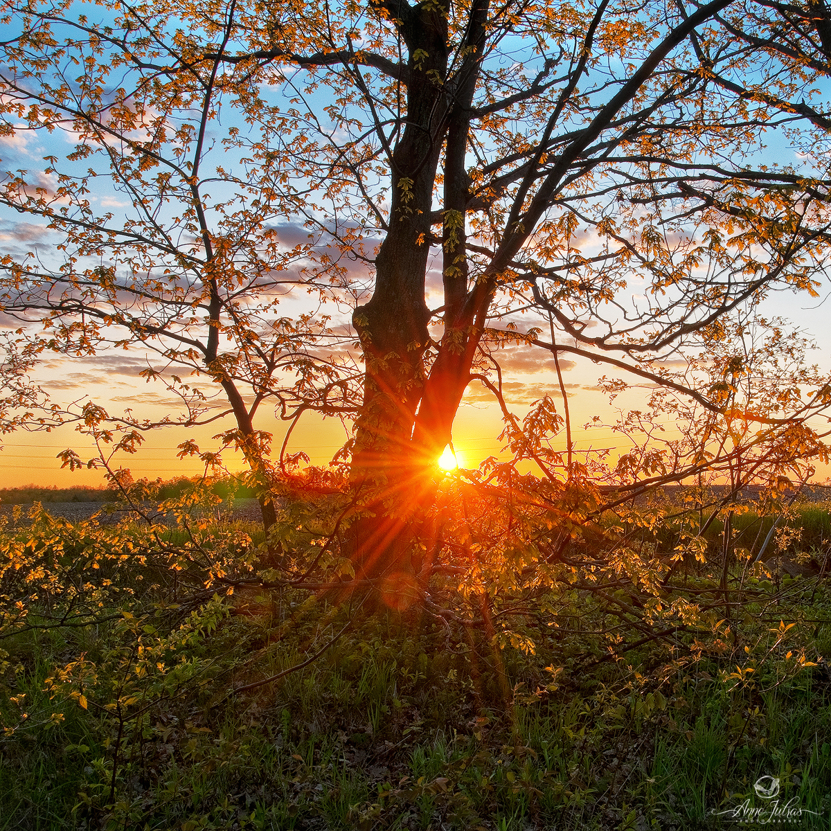 Photo HDR | Masques de luminance