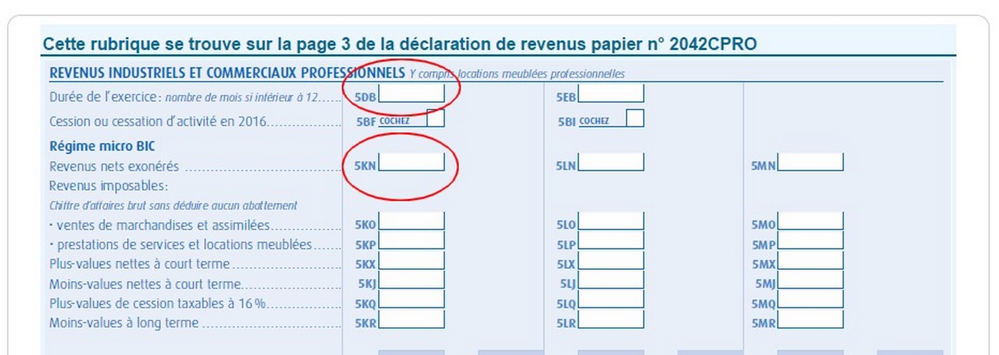 déclarer l'impôt sur le revenu auto-entreprise déclaration prélèvement libératoire