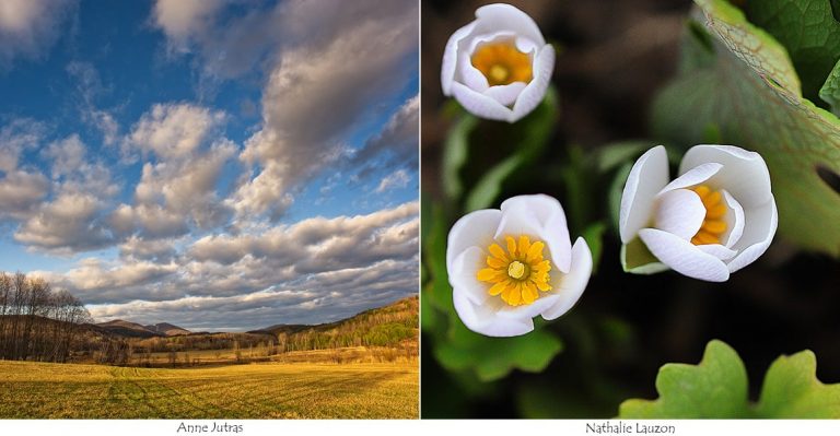 Défi 52 semaines en DUO pour un projet photo