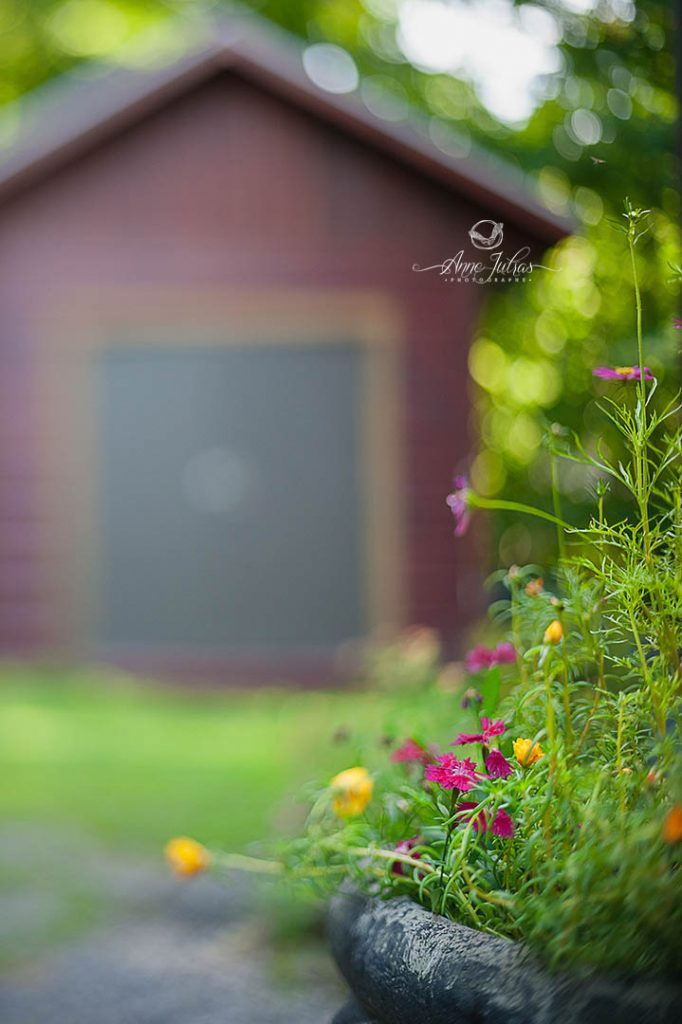 Flou créatif : freelensing