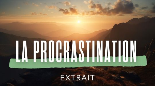 vignette-yt procrastination_devilliers