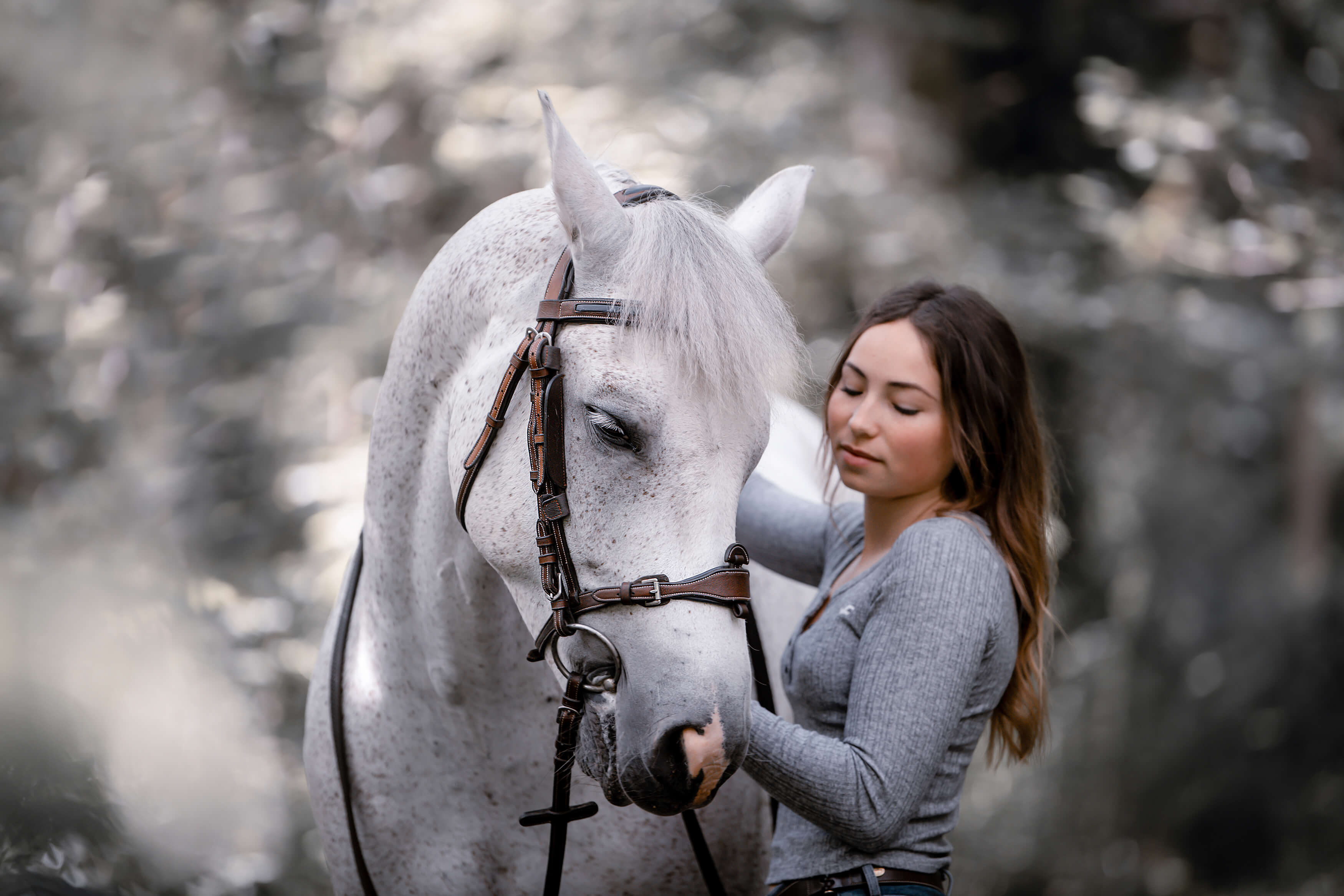 Photographie cheval en extérieur